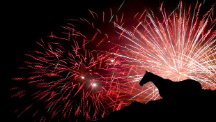 Keeping your horse calm during firework season